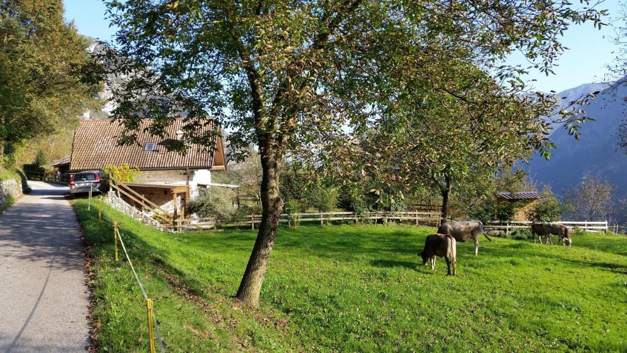 Chalet La Nos Molina di Ledro Phòng bức ảnh